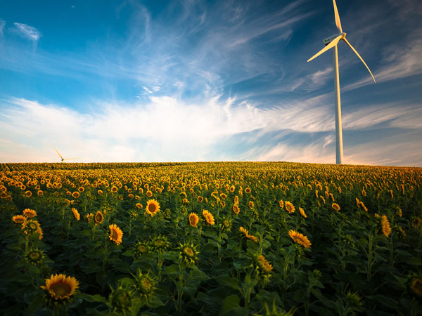 girasol reformas en granada